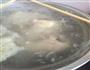 葱油鸡腿的做法图解1