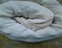 葱花烫面饼的做法图解2