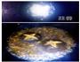 香菇肉糜菜心的做法图解5