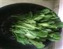 蒜蓉菜心的做法图解4