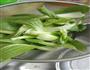 骨汤砂锅面的做法图解6