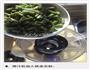 铁皮石斛鲜榨汁的做法图解5