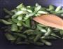 芦笋虾仁的做法图解4