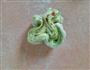 菜馒头菜花卷，详细步骤的做法图解15