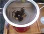 养颜花茶的做法图解6