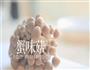 五彩柠汁凉面的做法图解3