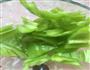 羊肉小揪面的做法图解4