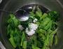凉拌腰果菠菜的做法图解10