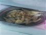 酸嘢版泡椒凤爪的做法图解3