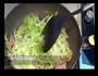 私味食光 第十九集的做法图解4
