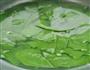 菠菜揪片面的做法图解5