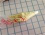彩绘小熊芒果草莓蛋糕卷的做法图解8