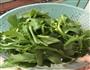 快手炒油菜的做法图解1