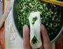 素食-韭菜鸡蛋馅水饺详细版的做法图解13