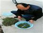 春卷的做法图解2