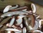 香菇油菜的做法图解2