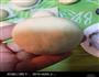 蛋黄馒头的做法图解8