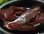 美味猪肉松的做法图解1