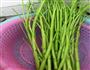 空心菜茎炒肉的做法图解1
