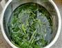 凉拌菠菜的做法图解2