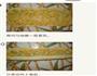 肉松葱香&豆沙葡萄干面包 电饭煲版的做法图解6