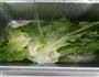 生菜肉卷的做法图解2