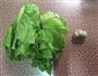 蒜蓉炒生菜的做法图解1