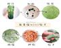 宝宝mini水饺的做法图解9