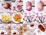 心有莲花的做法图解8