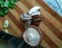 宿舍版芝士番茄牛肉盖饭的做法图解6