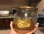 蜂蜜香蕉起酥卷的做法图解4