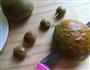 抹茶汉堡-萌系青蛙的做法图解10