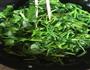 蒜蓉空心菜的做法图解4