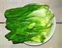 红油油菜大虾的做法图解2