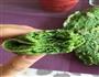 菠菜全麦蛋饼的做法图解5
