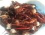 香辣小龙虾的做法图解2