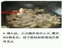 泡椒凤爪的做法图解5
