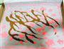 樱花抹茶小四卷的做法图解5