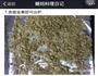 6个月宝宝都能吃的超细腻肉松-烤箱版的做法图解7