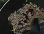 酸笋炒牛肉的做法图解3