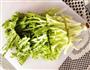 凉拌苦菊的做法图解1