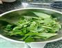 小肠苦菜汤的做法图解3