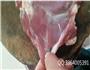 羊肉串的烧烤店切法和腌制的做法图解14