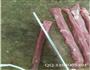 羊肉串的烧烤店切法和腌制的做法图解25