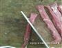 羊肉串的烧烤店切法和腌制的做法图解26