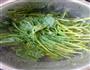 豆浆花生浆蔬菜的做法图解6