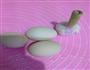 鸡蛋蒜的做法图解1