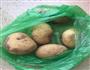 土豆丝卷饼的做法图解4