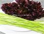 清爽藜蒿拌红边的做法图解1