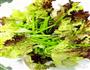 清爽藜蒿拌红边的做法图解3